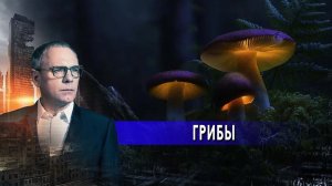 Грибы: таинственная цивилизация. Самые шокирующие гипотезы с Игорем Прокопенко (18.06.2021).