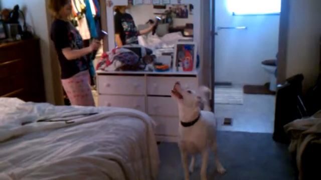 Cronus bouncing at light смотреть онлайн