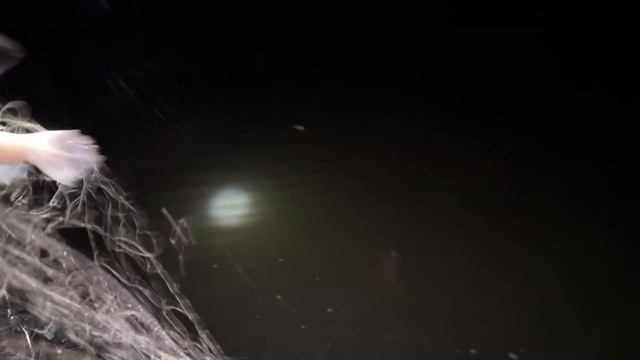 AVENTURA PESCA SELVAGEM NO AMAZONAS/MUITOS PEIXES смотреть онлайн