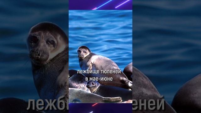 Вкусные Моменты