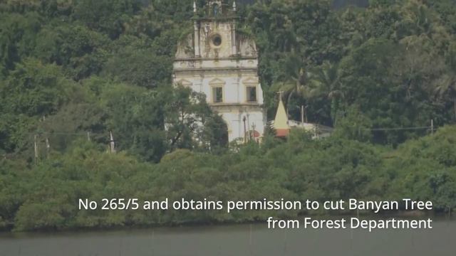 Watch how Fr Louis Alvares illegally destroyed Holy Banyan tree in Sancoale смотреть онлайн