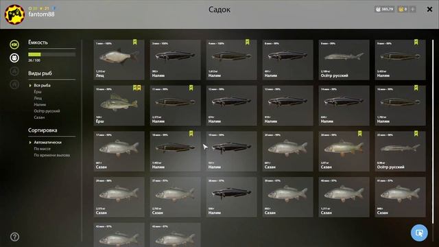 русская рыбалка 4 - Сазан Налим Осётр река Сура - рр4 Алексей Майоров