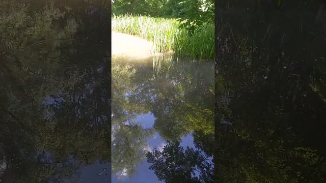 святой источник с. Александровское смотреть онлайн