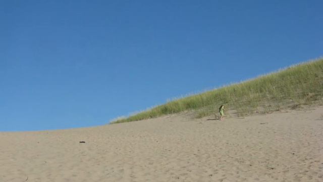 TOM NEWMAN Beach Scene from Aspects (1985) смотреть онлайн