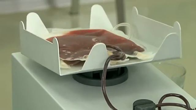 Доноры в белых халатах смотреть онлайн