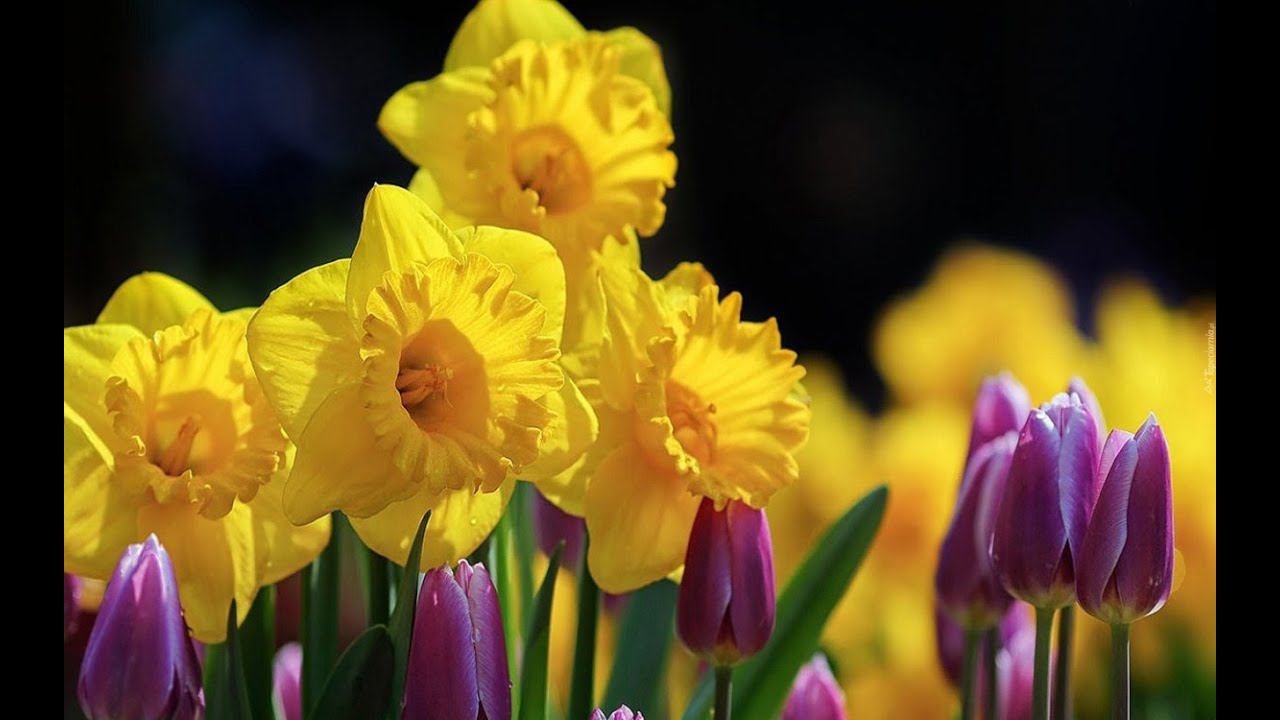 Хочу с вами пообщаться смотреть онлайн