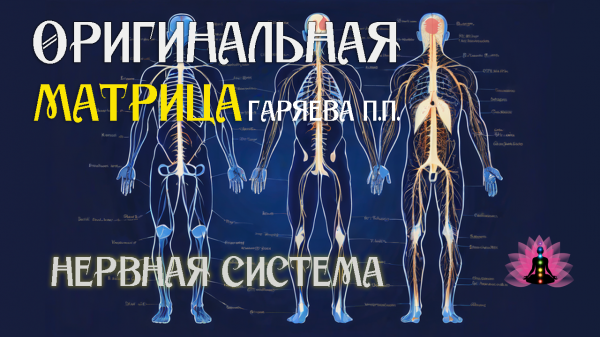 Нервная система ⚠️ Оригинальная программа матрица по технологии Гаряева ☀️ SoftRadio.ru