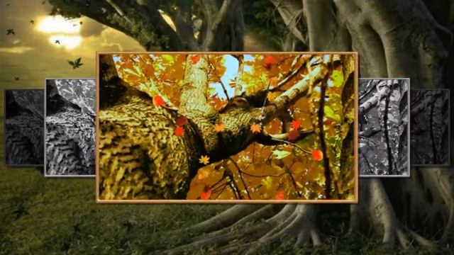 Волшебная красота осени смотреть онлайн