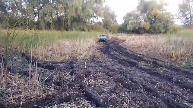 Video-b74255a7cecad8776ea742eb067690f6-V.mp4