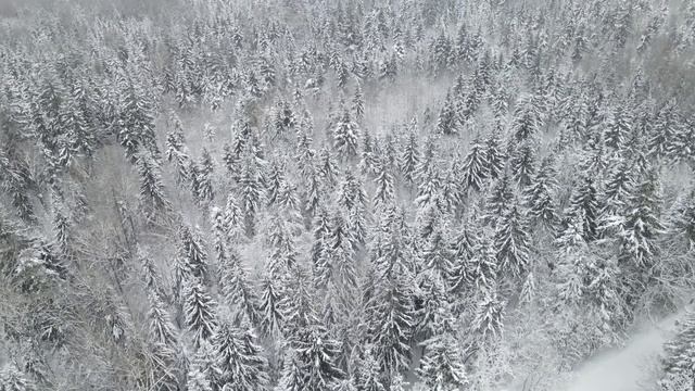 Зимняя метель. Звуки метели. Blizzard sounds. смотреть онлайн