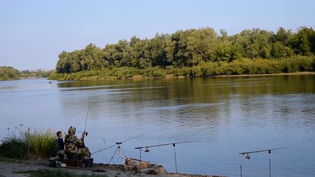 Как поймать сазана на Дону? В поисках нового сазаньего места. смотреть онлайн