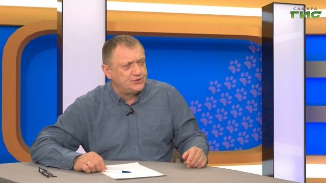 "Гигиена собак" / "Хочу домой!" от 22.04.2022 смотреть онлайн