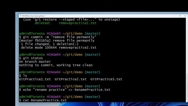 2. How to use git rm, .gitignore смотреть онлайн