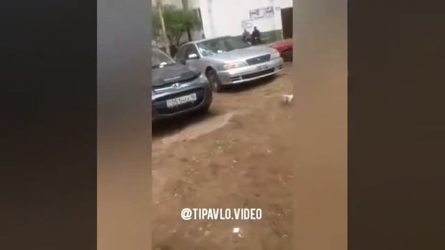 Камзина 362 (Дачный микрорайон) смотреть онлайн