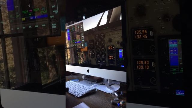 king air cruise x plane 11 (flying the Paul brothers around in a flight simulator) смотреть онлайн