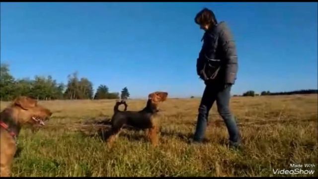 Брут, 1 год смотреть онлайн