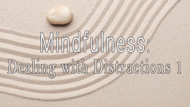 Mindfulness: Dealing with Distractions 1 by Henepola Gunaratana смотреть онлайн
