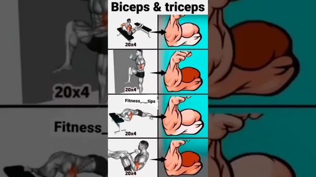 Biceps and Triceps Workout #exercise #abdomen смотреть онлайн