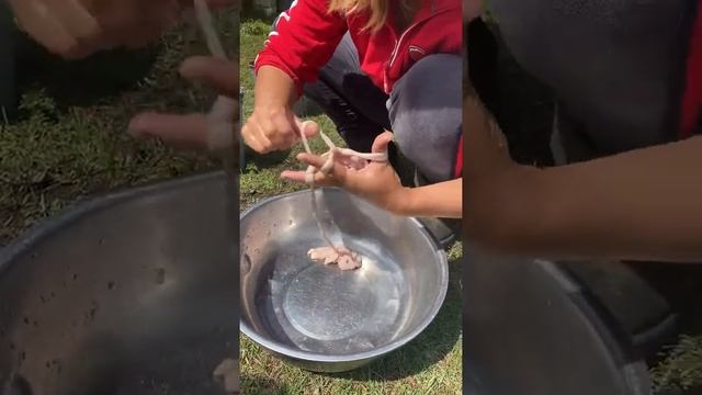 Беш салаа смотреть онлайн