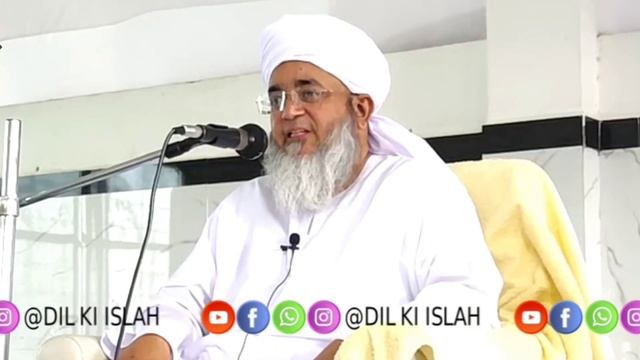 Tauba Ek Qisam Ka Remover Hai - Hazrat Maulana Salahuddin Saifi Naqshbandi Sahab #dil_ki_islah смотреть онлайн