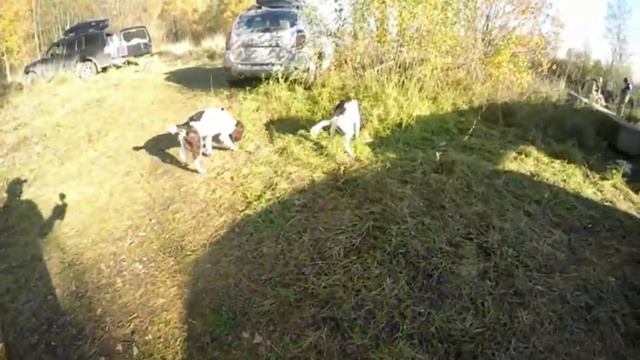 Любош 2018 смотреть онлайн