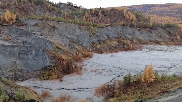 По следам зверя| Иду за за своим охотником.. смотреть онлайн