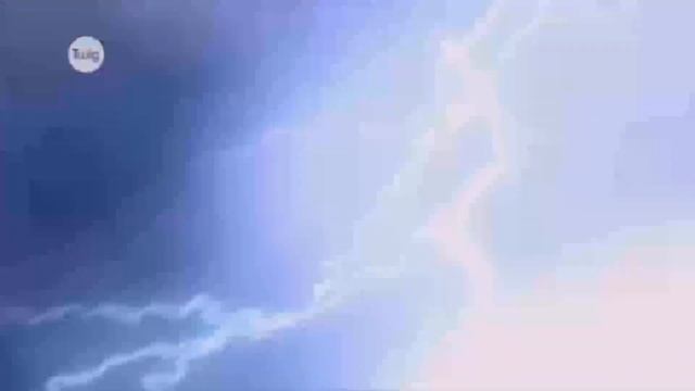 Биология. Влияние деятельности человека на окружающую среду. Заканова А.Н. смотреть онлайн