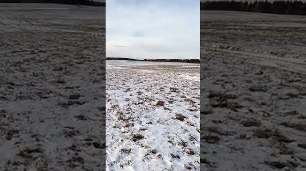 Самолет Е-12