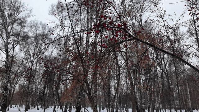 Противоречит ли Учение Радугимира существующим религиям. смотреть онлайн