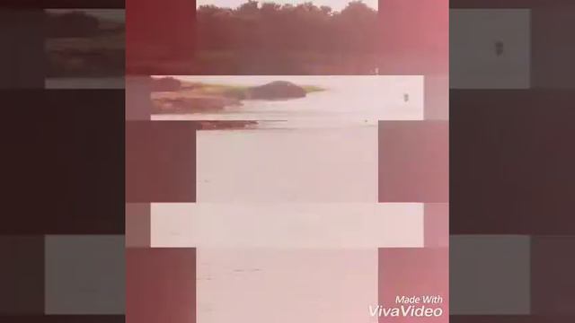 Kongoli dem on 19/09/2017 смотреть онлайн