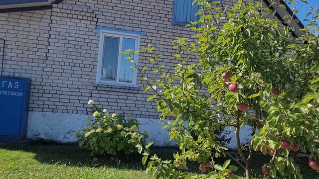 Деревня. Ах,зачем болит душа... смотреть онлайн