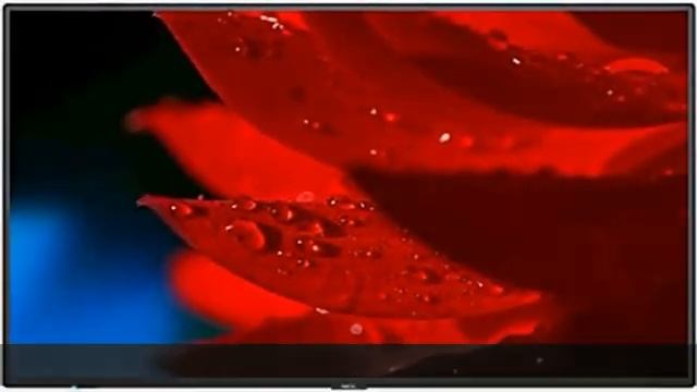 NEC MA491 MultiSync - 49 inch Diagonal Class MA Series LED-Backlit LCD Display - Digital Signage - смотреть онлайн