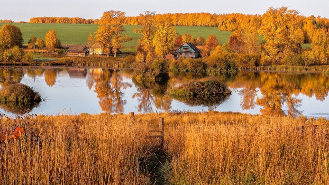 Звенит высокая тоска (Осеняя мелодия) смотреть онлайн