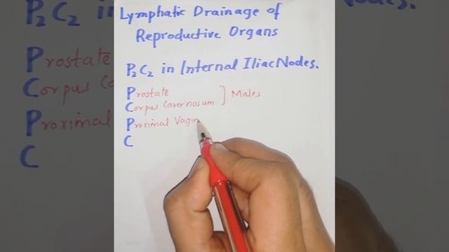 Lymphatic Drainage of Genital System Mnemonic for USMLE Step 1 смотреть онлайн