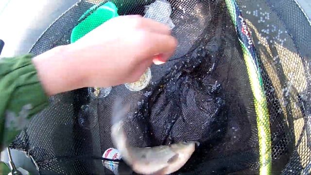 Ловля карася в середине июня. смотреть онлайн