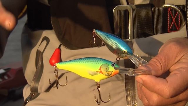 Rapala Risto Rap Crankbait For Trophy Fall Smallmouth Bass, Lake Simcoe, ON.