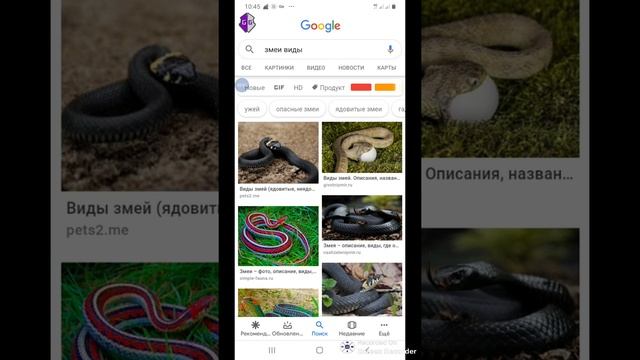 Меня  укусила  змея  и  мне  осталось 1месяц??
