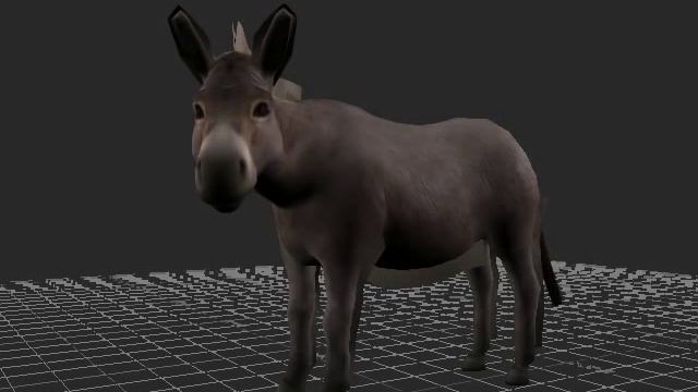 Donkey animations: Анимация Осла смотреть онлайн