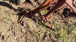 Плуг ПЦ-1-18 осваиваю вспашку...