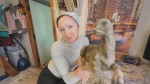 6 соток 4 апреля 2024 года. Хроника