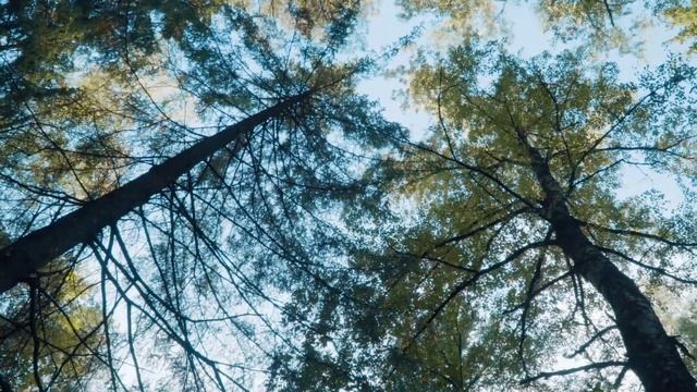 LVM Dabas parks Tērvetē ( Latvija / Tērvetē ) смотреть онлайн