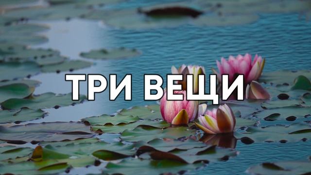 12 упражненний для тренировки Разума
