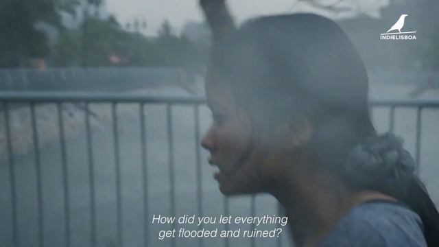 Silvestre Longas 2022 | Trailer | The Girl from Dak Lak смотреть онлайн