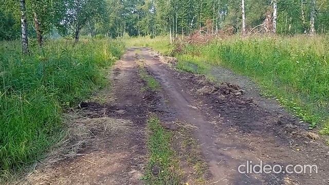 Как Человек меняет Природу смотреть онлайн