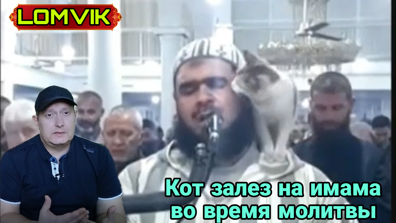 Кот запрыгнул на имама во время молитвы смотреть онлайн