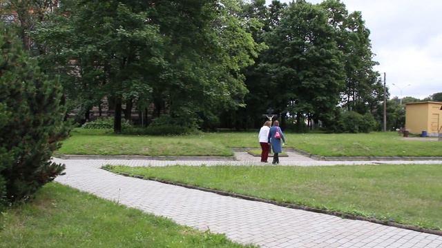 Экскурсия по пушкинским местам смотреть онлайн