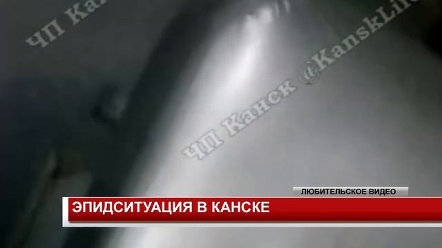 ЭПИДСИТУАЦИЯ В КАНСКЕ смотреть онлайн