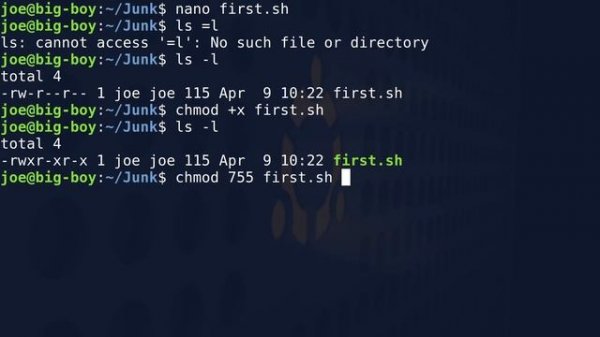 Linux BASH Shell Script Basics Part 1