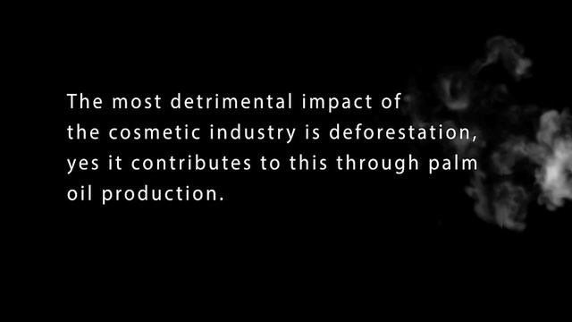 More Than Just Make Up Brushes: The role of cosmetics in Sustainability. смотреть онлайн