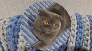 Обзор моих ковриков.